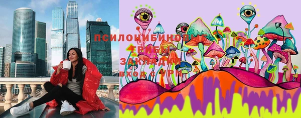 спиды Михайловск