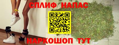 крисы Апшеронск