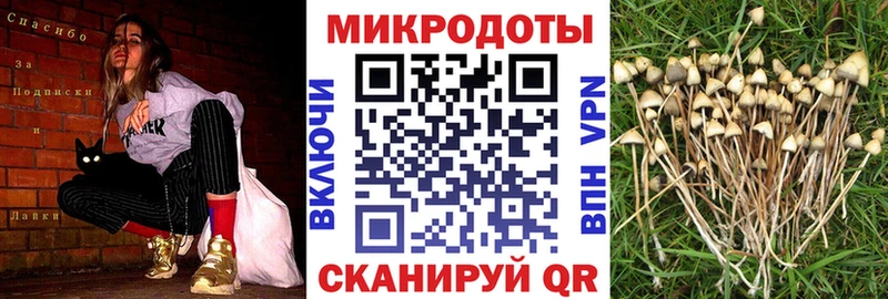 Галлюциногенные грибы мухоморы  ОМГ ОМГ ТОР  Архангельск 